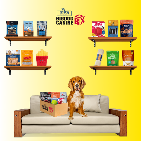 Big Dog Canine Box for Medium Dogs – New Surprise of Premium Treats & Toys Every Time You Order