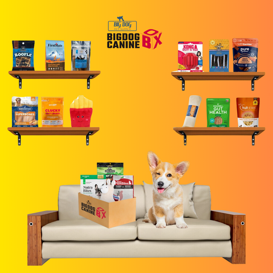 Big Dog Canine Box for Small Dogs – New Surprise of Premium Treats & Toys Every Time You Order