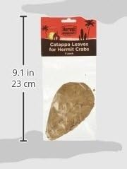 Fluker's Hermit Headquarters Hermit Crab CATAPPA Leaves