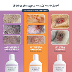 Synergy Labs Clinical Care Medicated Antiparasitic Shampoo 16 oz