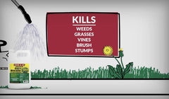 Compare-N-Save® Glyphosate Concentrate Grass & Weed Killer – 32 oz
