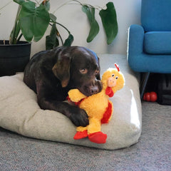 KONG Knots Chicken Dog Toy – Small