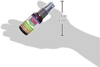 KONG Naturals Catnip Spray for Cats