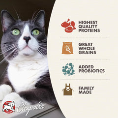 Fromm Healthy Weight Gold Dry Cat Food - Weight Management Cat Food for Adult & Senior Cats - Chicken Recipe