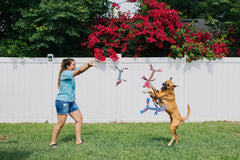 Jolly Pets® Flatheads Tug Dog Toy – Monkey