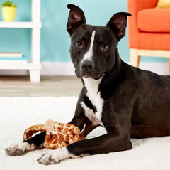 Skinneeez Giraffe Stuffless Dog Toy, Plush with Squeaker and Crinkle, Interactive Tug Toy for Mini and Small Dogs