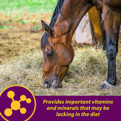 Red Cell® Pellets – Vitamin-Iron-Mineral Supplement for Horses 4 lb