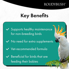 Roudybush Daily Maintenance Bird Food Small Pellets – 25 lb