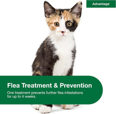 Advantage™ for Small Cats – 2-Month Supply