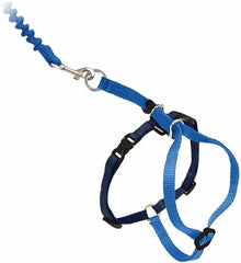 PetSafe Come with Me Kitty Harness and Bungee Leash, Large