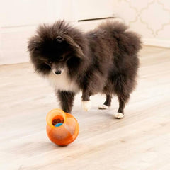 KONG Rewards Tipsy Food or Treat Dispensing Dog Toy - Interactive and Mentally Stimulating Toy for Dogs