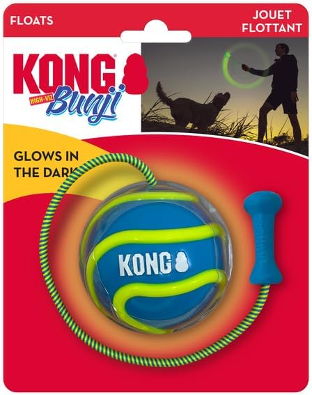 KONG Bunji High-Viz Brightly Colored Glow in The Dark High Visibility Fetch and Retrieve Durable Bouncy Ball Assorted