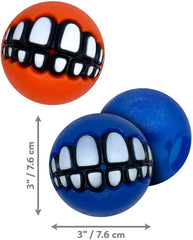 Rogz Dog Chew and Fetch Ball