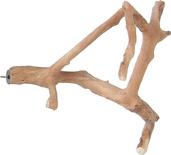 A&E Cage Co. Java Wood Multi Branch Perch