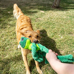 KONG Knots Frog with Inner Rope Skeleton