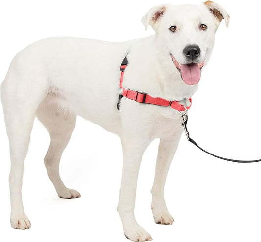 PetSafe Easy Walk Deluxe Dog Harness, No Pull Dog Harness – Perfect for Leash & Harness Training – Stops Pets from Pulling and Choking on Walks – Medium/Large