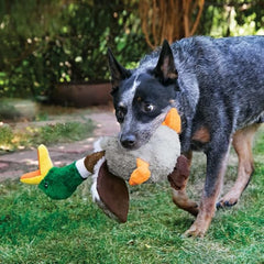 KONG Shakers Honkers Duck - Long Plush Toy with Low Tone Squeaker