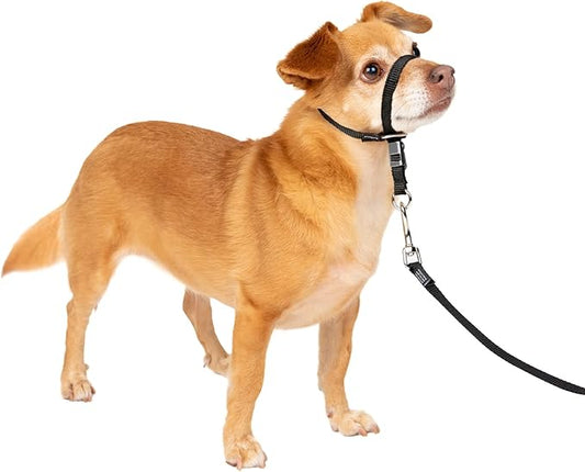 PetSafe Gentle Leader No-Pull Dog Headcollar - The Ultimate Solution to Pulling - Redirects Your Dog's Pulling for Easier Walks - Helps You Regain Control - Petite