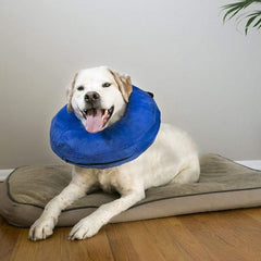 KONG - Cloud Collar - Inflatable Collar - For Injuries, Rashes and Post Surgery Recovery