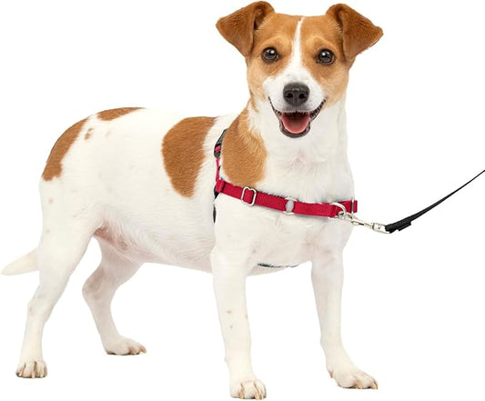 PetSafe Easy Walk No-Pull Dog Harness - The Ultimate Harness to Help Stop Pulling - Take Control & Teach Better Leash Manners - Helps Prevent Pets Pulling on Walks, Small