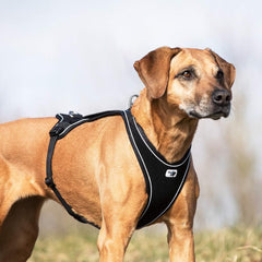 Curli Belka Comfort Harness Red