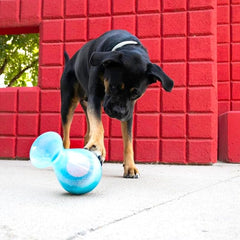 KONG Rewards Tipsy Food or Treat Dispensing Dog Toy - Interactive and Mentally Stimulating Toy for Dogs