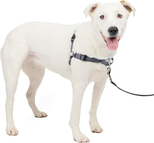 PetSafe Easy Walk Deluxe Dog Harness, No Pull Dog Harness – Perfect for Leash & Harness Training – Stops Pets from Pulling and Choking on Walks – Medium/Large