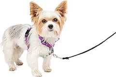 PetSafe 3 in 1 Dog Harness - No Pull Solution for Dogs - Reflective Dog Harness - Front D-Ring Clip Helps Stop Pulling - Comfortable Padded Straps - Top Handle Enhances Control