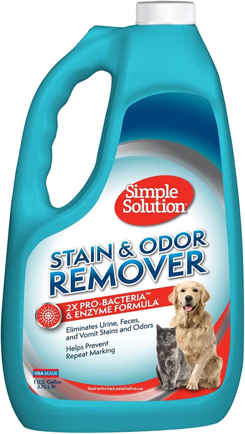 BRAM SIMP SOL Stain/Odor GAL
