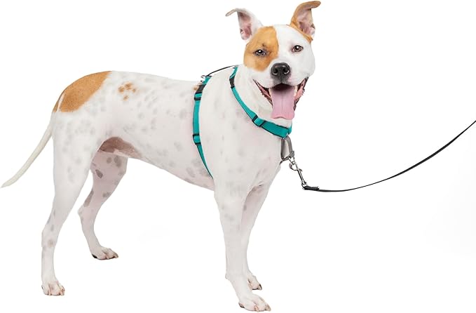 PetSafe 3 in 1 Dog Harness - No Pull Solution for Dogs - Reflective Dog Harness - Front D-Ring Clip Helps Stop Pulling - Comfortable Padded Straps - Top Handle Enhances Control