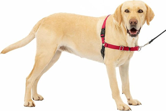 PetSafe Easy Walk No-Pull Dog Harness - The Ultimate Harness to Help Stop Pulling - Take Control & Teach Better Leash Manners - Helps Prevent Pets Pulling on Walks, Large