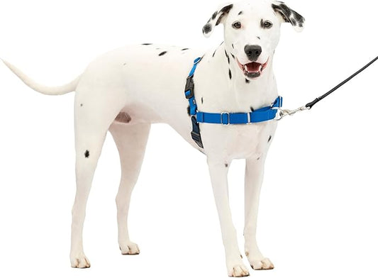 PetSafe Easy Walk No-Pull Dog Harness - The Ultimate Harness to Help Stop Pulling - Take Control & Teach Better Leash Manners - Helps Prevent Pets Pulling on Walks, Medium/Large