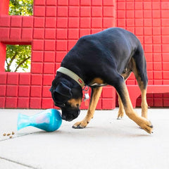 KONG Rewards Tipsy Food or Treat Dispensing Dog Toy - Interactive and Mentally Stimulating Toy for Dogs