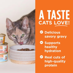 Instinct Flaked Entrée Wet Canned Cat Food