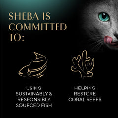 Sheba Meaty Tender Sticks Salmon 10 / .07 oz