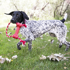 KONGÃ‚Â® Goodie Bone w/Rope Md