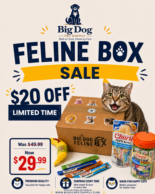 Big Dog Feline Cat Box