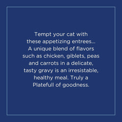 Natural Balance Original Ultra Platefulls Adult Grain Free Wet Cat Food Salmon, Chicken & Giblets Formula in Gravy, 3 Ounce Pouch (Pack of 24)