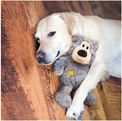 Kong Wild Knots Bears Durable Dog Toys