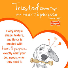 Nylabone Ring Bone Chew Toy for Puppies, Puppy Teething Toys, Puppy Enrichment Toys, Chicken Flavor