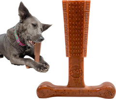 SPOT Bam-Bones Plus T Bone - Bamboo Fiber & Nylon, Durable Long Lasting Dog Chew for Aggressive Chewers – Great Toy for Adult Dogs & Teething Puppies Under 30lbs, Non-Splintering, Beef Flavor