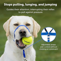 PetSafe Gentle Leader No-Pull Dog Headcollar - The Ultimate Solution to Pulling - Redirects Your Dog's Pulling for Easier Walks - Helps You Regain Control - Petite