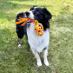 KONG Wubba Ballistic High-Viz Bright Colors High Visibility Squeaky Dog Toy