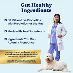 Solid Gold Bison Dry Dog Food for Large Dogs – High Protein, Whole Grain Kibble with Real Bison, Brown Rice & Omega 3 – Large Kibble w/Probiotics for Gut Health - Adult Dog Food - Nutrientboost™ 22-lb