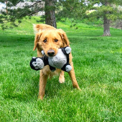 KONG Knots Belly - Soft Plush Exterior with Internal Skeleton Rope Ball and Squeaker (Gorilla)