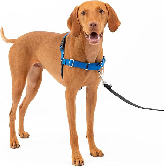 PetSafe Easy Walk No-Pull Dog Harness - The Ultimate Harness to Help Stop Pulling - Take Control & Teach Better Leash Manners - Helps Prevent Pets Pulling on Walks, Medium