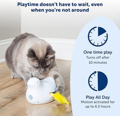 PetSafe Electronic Cat Toys – Automatic Cheese and Peek-A-Bird – Hide and Seek Teaser Toy – Interactive Bird and Mouse Hunt – Play While You are Away