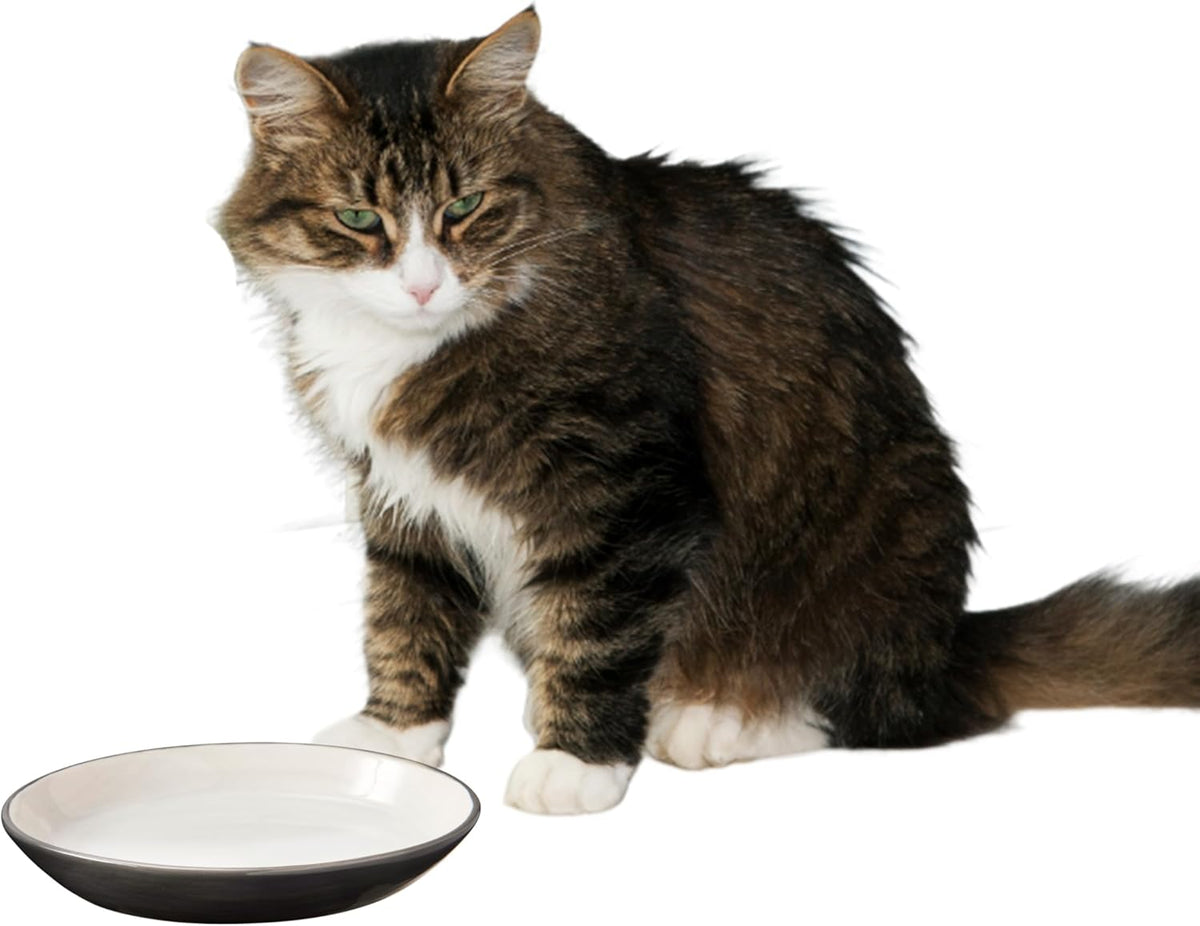SPOT Two Tone Gray Oval Cat Food Dish - Ceramic Plate with Low Edges, Saucer with Whisker-Friendly Shape and Low-Profile Sides, Ideal for Wet or Dry Cat Food, Hand Wash Only, 6 inch (1 Cup- 8 Oz)