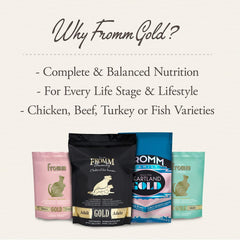 Fromm Four-Star Nutritionals Chicken Au Frommage Cat Food - Premium Dry Cat Food - Chicken Recipe