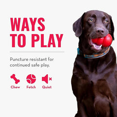 KONG Ball with Hole - Durable Dog Fetch Toy for Training, Interactive Playtime & More - Classic KONG Natural Rubber Ball - Red